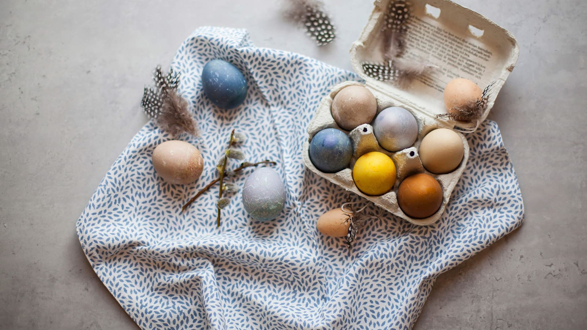 Coloured eggs in egg carton 