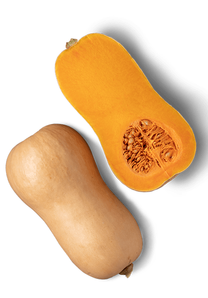 Butternut squash