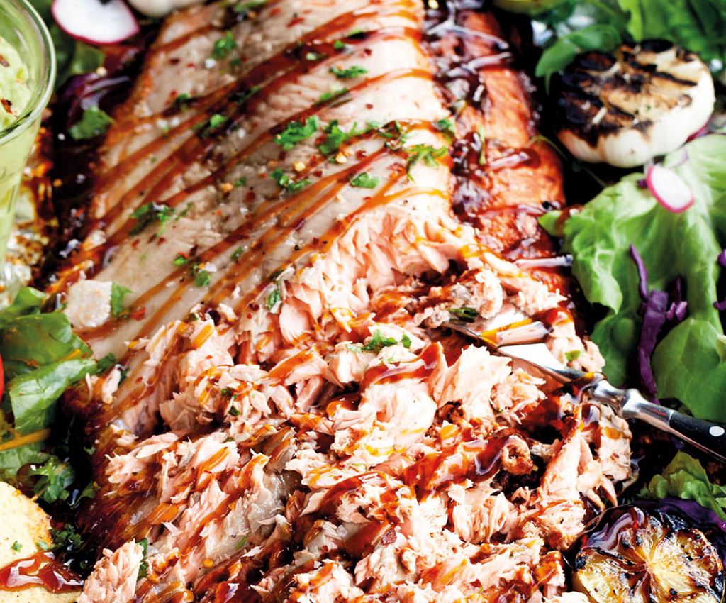 Pulled salmon met nacho chips en teriyakisaus